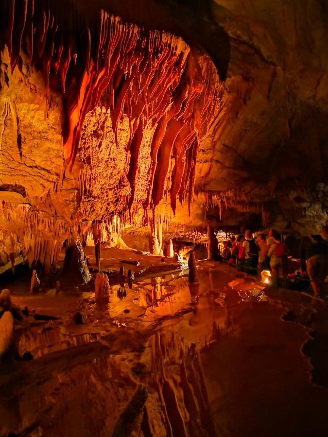 Magnifique gite en pierres 6 personnes avec piscine privee Ardeche plein sud Lablachère Extérieur photo